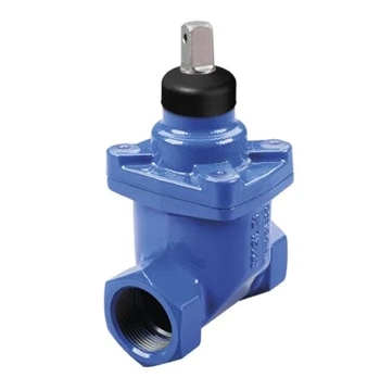 Litinové šoupátko se závitem Norson DN25 1'' PN10/16