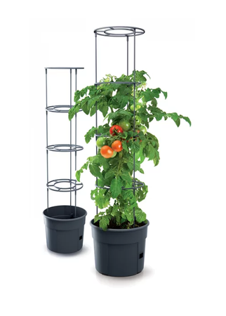 Prosperplast květináč na pěstování rajčat Tomato Grower IPOM400-S433